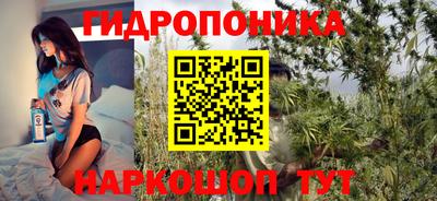 герыч Боровичи