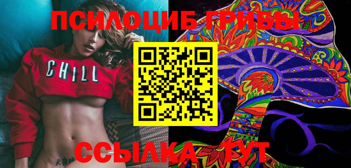 Псилоцибиновые грибы прущие грибы  Галлюциногенные грибы мицелий  Кириши  Вход с VPN 