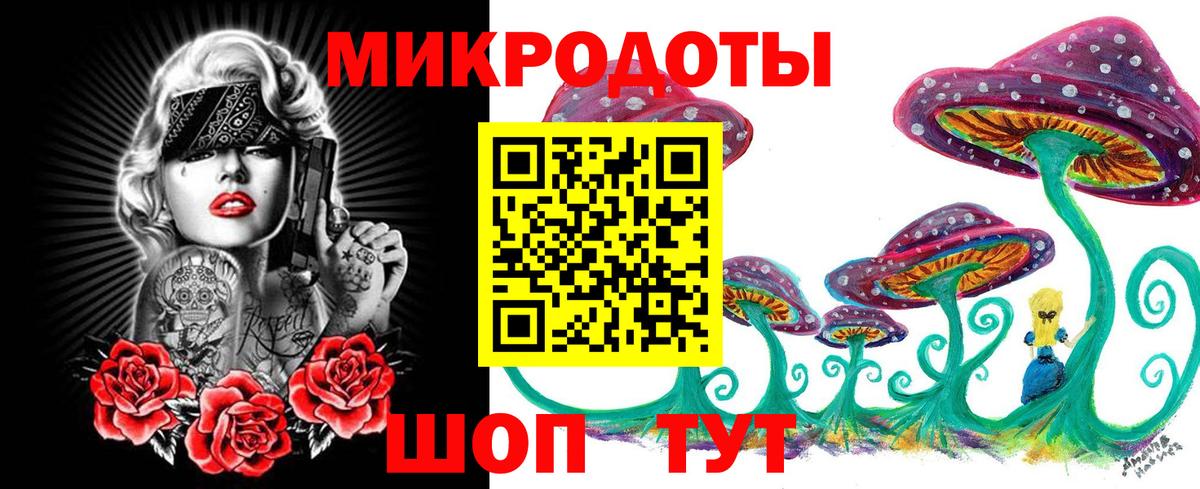 Псилоцибиновые грибы GOLDEN TEACHER Кириши