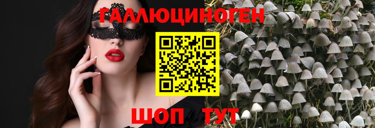 Меф МЯУ МЯУ   Конопля  Кириши  COCAIN  А ПВП СК кристаллы  ГАШ  Вход с VPN 